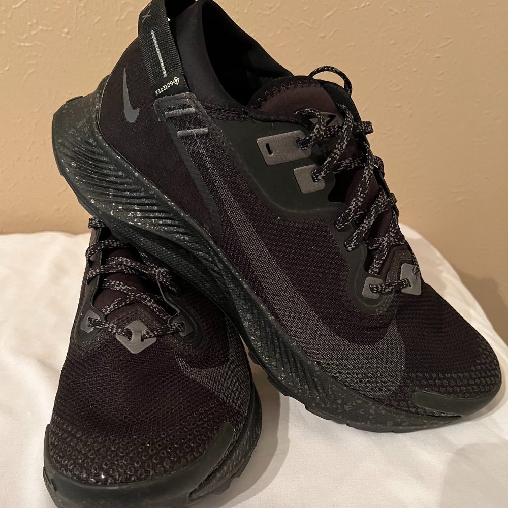 Nike Pegasus Trail 2 Gore-Tex
